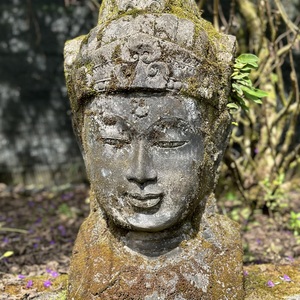 Fundraising Page: Monique Brousseau